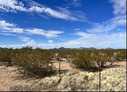 17120 W Flybuoy Ranch Road, Marana, AZ 85653