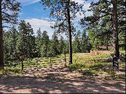 Ideal Homesite Ready For Your Mountain Home/Cabin/RV!