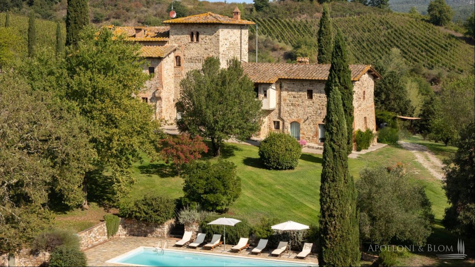 Ancient country mansion with hot spring and vineyards, Siena - Toscana