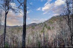 TBD Little Hog Back Mountain Lane, Highlands NC 28741