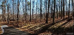 C-57 Lodge Woods Trail, Glenville NC 28736