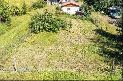 10 Sunny Fertile Acres