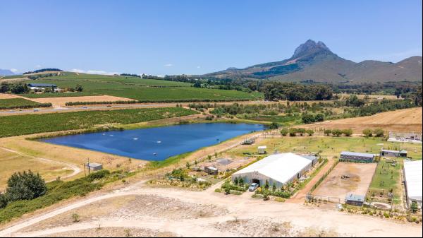 A True Gem Nestled In The Beautiful Winelands of S
