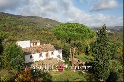 RURAL HAMLET TO BE RESTORED FOR SALE IN CASENTINO, TUSCANY