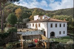 RURAL HAMLET TO BE RESTORED FOR SALE IN CASENTINO, TUSCANY