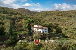 Tuscany - RESTORED PERIOD VILLA FOR SALE 30' FROM FLORENCE