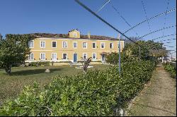 Homestead, Nazare