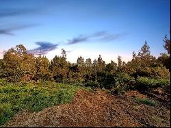  , Santa Cruz Madeira