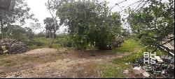 5592:Land for sale by highway Cancun Leona Vicario, Cancun 77590