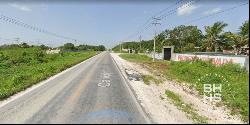 5592:Land for sale by highway Cancún Leona Vicario, Cancún 77590