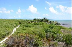 5045 - Lot for Sale in Bahia Petempich, lot 80, Cancún 77580