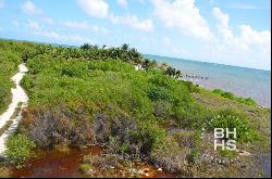 5045 - Lot for Sale in Bahia Petempich, lot 80, Cancún 77580