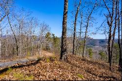 278 Carters Overlook Drive, Ranger GA 30734