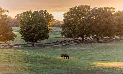 600 Martingale Ridge Drive, Middleburg, VA, 20117