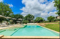 Country house with vineyards and olive groves