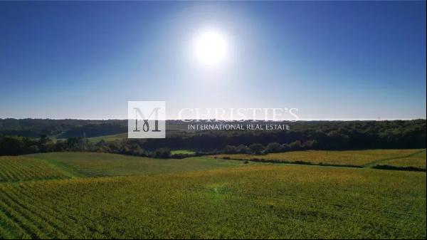 For sale an attractive vineyard estate of about 36ha near Bordeaux