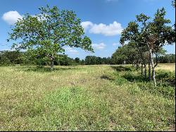 650 Windmill Ridge Drive, Blanco, TX 78606