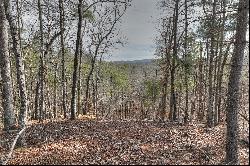 Extraordinary Opportunity To Build Your Dream Home In Picturesque Blue Ridge