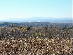 Serenity and a Beautiful View to the Albany Skyline