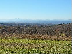 Serenity and a Beautiful View to the Albany Skyline