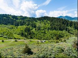 TBD Rose Creek Road, Bozeman MT 59715