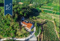 Estate surrounded by a 1.7-hectare private park with a vineyard, orchard and forest for sa
