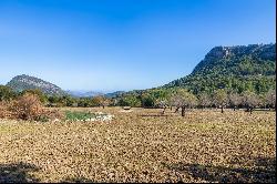 Country Home, Pollensa, Mallorca, 07460