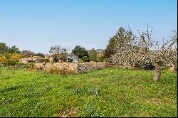 Finca, Pollensa, Mallorca, 07460