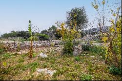 Finca, Pollensa, Mallorca, 07460