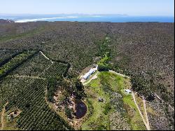 Patryskloof Farm, Hemel-En-Aarde Valley, Hermanus, Western Cape, 7200