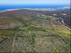 Patryskloof Farm, Hemel-En-Aarde Valley, Hermanus, Western Cape, 7200