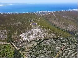 Patryskloof Farm, Hemel-En-Aarde Valley, Hermanus, Western Cape, 7200