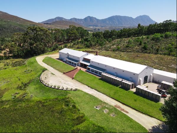 Patryskloof Farm, Hemel-En-Aarde Valley, Hermanus, Western Cape, 7200