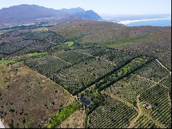 Patryskloof Farm, Hemel-En-Aarde Valley, Hermanus, Western Cape, 7200