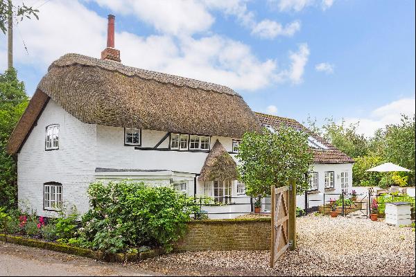 Pretty cottage in the heart of the Pewsey Vale