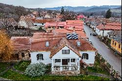 Benedek Elek's daughter's manor in the heart of Covasna