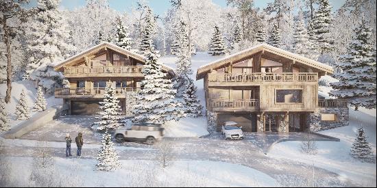 Vente LUXUEUX CHALET AUX GETS