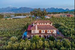 Lifestyle farm with revenue in Paarl