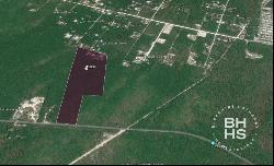 5894-Land for Sale in Puerto Morelos near the Cenotes Route, Puerto Morelos 77580