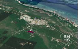 5894-Land for Sale in Puerto Morelos near the Cenotes Route, Puerto Morelos 77580