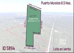 5894-Land for Sale in Puerto Morelos near the Cenotes Route, Puerto Morelos 77580