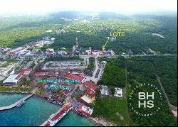 5892-Land for Sale in Cozumel South Coastal Avenue, Cozumel 77660