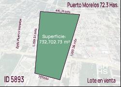 5893-Land for sale in Puerto Morelos near the Federal Highway, Puerto Morelos 77580