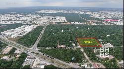 5890-Lot for Sale in Cancún Prolongación La Luna Ave. with Huaya, Cancún 77533