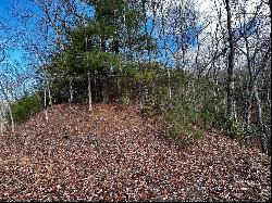 Lot 47 N. Nickajack Rd, Franklin NC 28734