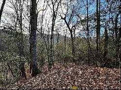 Lot 47 N. Nickajack Rd, Franklin NC 28734