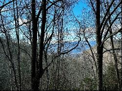 Lot 47 N. Nickajack Rd, Franklin NC 28734