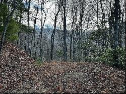 Lot 47 N. Nickajack Rd, Franklin NC 28734