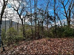 Lot 47 N. Nickajack Rd, Franklin NC 28734