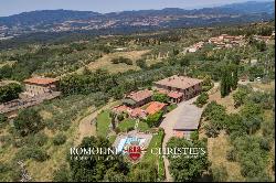 ESTATE WITH VINEYARDS AND OLIVE GROVE FOR SALE IN TUSCANY, FLORENCE